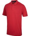 Nike dry vapor polo