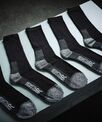 Regatta Professional Pro 5-pack work socks