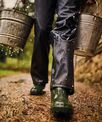 Regatta Professional Stormflex waders