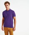 Asquith & Fox Men's organic polo