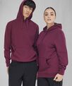 B&C ID.223 hoodie
