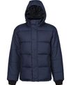 Regatta Professional Northdale insulated jacket