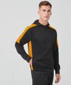 Finden & Hales Adults' team hoodie