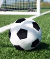 Mumbles Zippie football