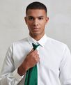 Premier 'Colours' satin clip tie