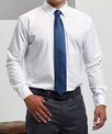 Premier Puppy tooth tie