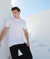 SF Longline t-shirt with dipped hem