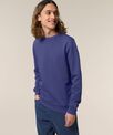Stanley/Stella Roller unisex crew neck sweatshirt (STSU868)