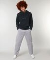 Stanley/Stella Unisex Archer hoodie sweatshirt (STSU011)