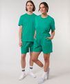 Stanley/Stella Unisex Waker shorts (STBU070)