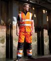 Result Safeguard Safety cargo trousers