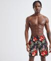 Wombat Men's swim shorts