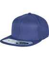Flexfit by Yupoong 110 fitted snapback (110)