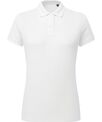 Asquith & Fox Women's polycotton blend polo