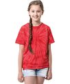 Colortone Kids tonal spider T