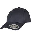 Flexfit by Yupoong Flexfit 110 organic cap