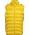 2786 Tribe fineline padded gilet