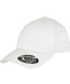 Flexfit by Yupoong Flexfit 110 organic cap