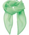 Premier 'Colours' Chiffon scarf