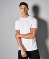 Kustom Kit Cooltex® plus wicking tee (regular fit)