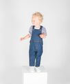 Larkwood Denim dungarees