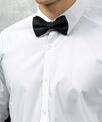 Premier Bow tie