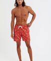 Wombat Men's swim shorts