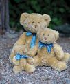Mumbles Bracken bear - Large