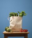Nutshell® Recycled premium canvas shopper