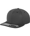 Flexfit by Yupoong 110 fitted snapback (110)