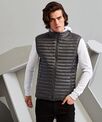 2786 Tribe fineline padded gilet