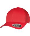 Flexfit by Yupoong 110 mesh cap (110M)