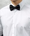 Premier Bow tie