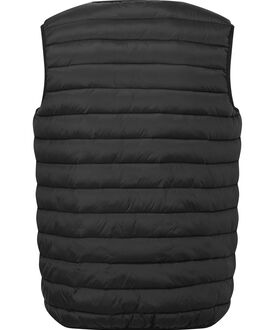 ts042_blac.jpg