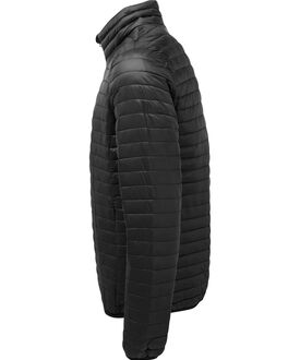ts018_blac.jpg