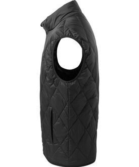 ts033_blac.jpg