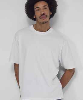 ba031.jpg