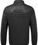 ts018_blac.jpg