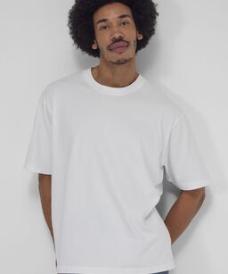 ba031.jpg