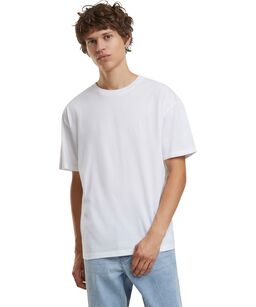 bb035.jpg