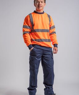 rx730.jpg
