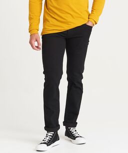 sd001.jpg